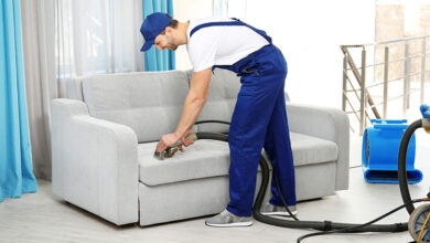 Professional couch cleaning