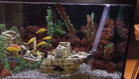 Clean Aquarium Gravel