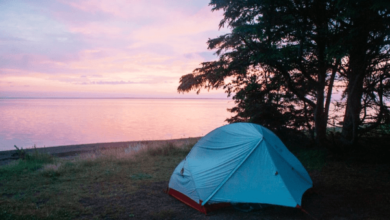 Camping Trips for Beginners