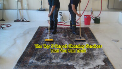 5 Carpet Cleaning Services