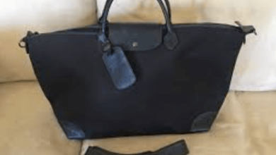 longchamp travel bag