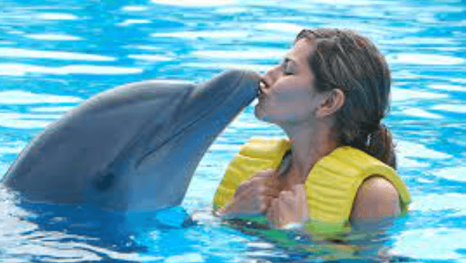 Swim with Dolphins at Dolphinaris: A Memorable Experience