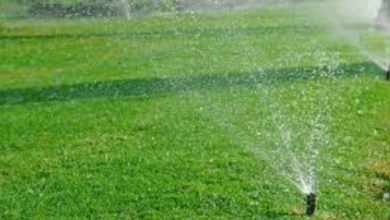 Smart Lawn Irrigation System