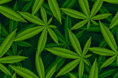 Benefits of Cannabis
