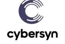 Nycbased cybersyn series