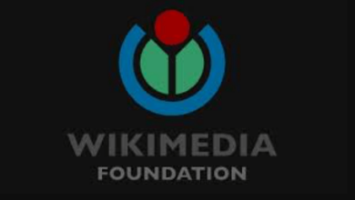 india wikipediaketon wikimediafoundation