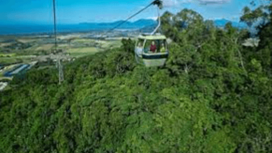 Australien & pazifischer ozean trolleytouren