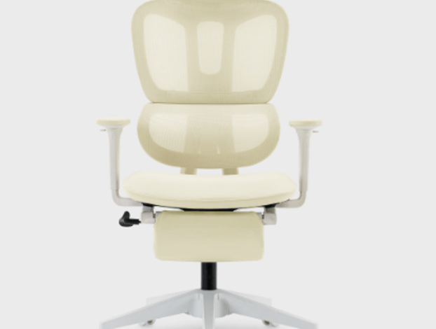 The Ultimate Guide to Choosing the Perfect Office Chair