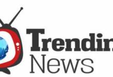 Trends and Patterns in News