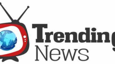 Trends and Patterns in News