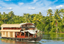 "Privétour Lunchcruise op een Woonboot in Kerala met Transfers van Kochi":