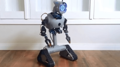 Introduction to Building Your Own Remote Controlled Robot