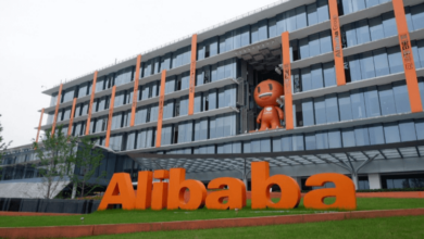 Alibaba Yoy 31B 30.9b 3.8b 3b
