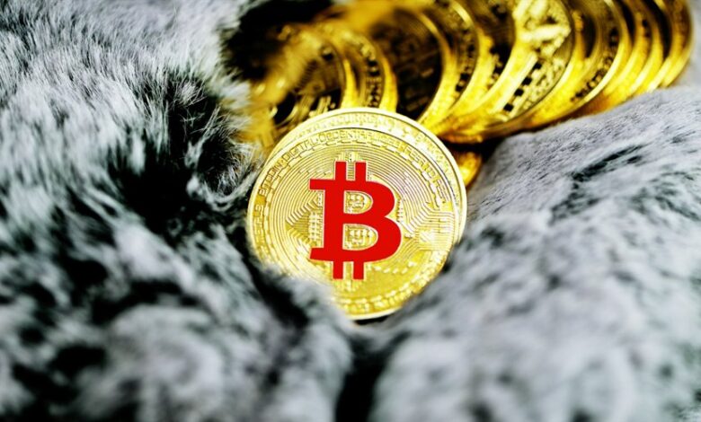 A+L1w6kyb7ae7jblfszsl4zeewrqhge4j6n0jrgxoufcs/Rqcl+9dbq8m5rg80ld