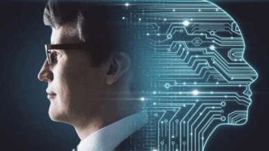 Business Hotline 915406554 Customer Service Number