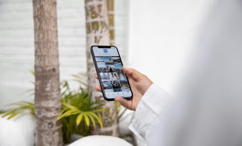 analyzing the 6062033135 number