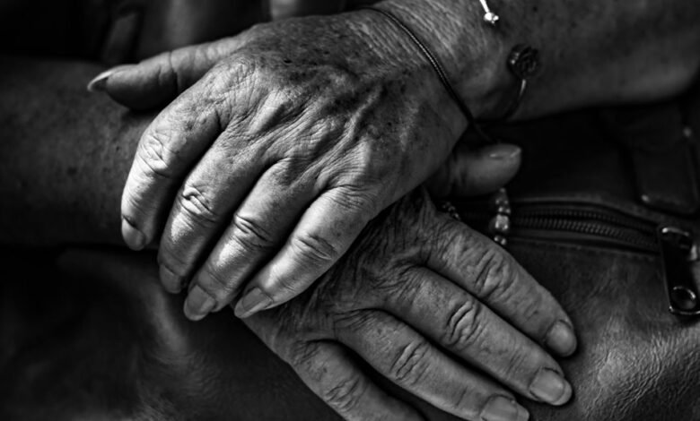 deciphering the sequence s significance