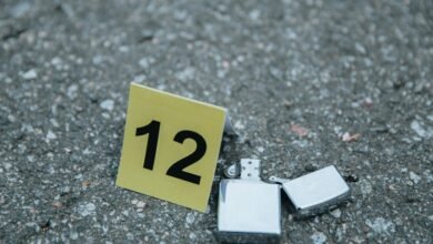 number s effect explored