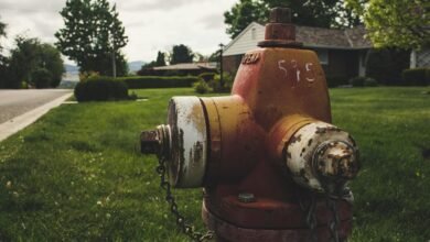 viral digital community number