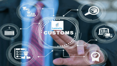 Customs Clearance Software Solutions for Efficient Global Trade Compliance