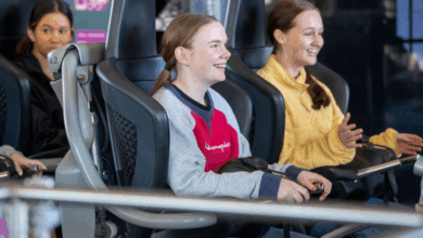 When Thrills Go Wrong: Legal Help After a Roller Coaster Concussion