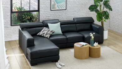 Why Leather Sofas Are Becoming the Centrepiece of Sustainable Living
