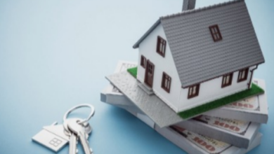 Unlocking Your Home's Value: A Complete Guide to Equity Release Loans