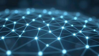 What to Know Before Choosing an Automated Internal Linking Tool for Your Site