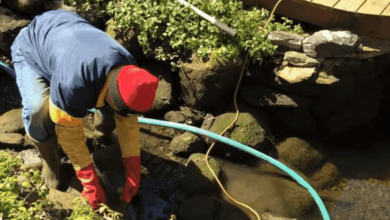 Pond Cleaning Companies for Professional Pond Restoration